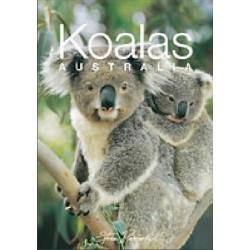 Mini Souvenir Book: Koalas, Australia