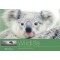 Panoramic Gift Book: Wildlife