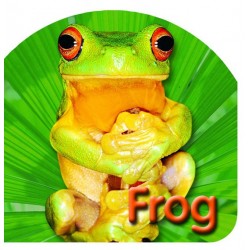 Board Book: Frog