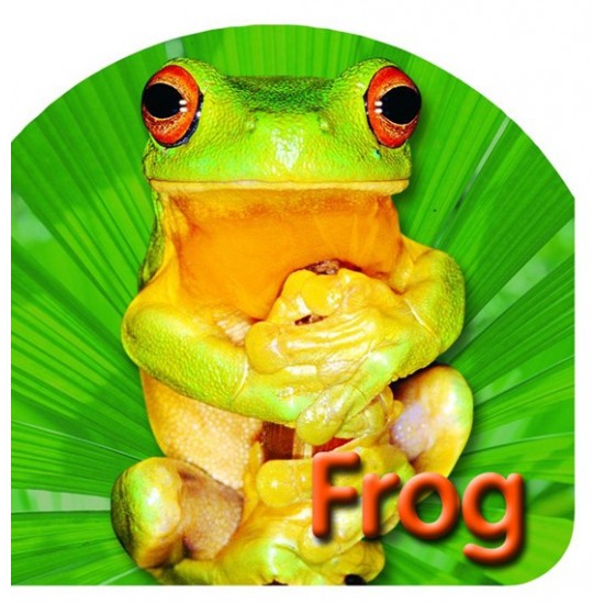 Board Book: Frog