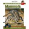 Amazing Facts: Australian Mammals