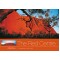 Panoramic Gift Book: The Red Centre