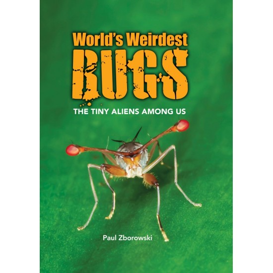 World's Weirdest Bugs World's Weirdest Bugs