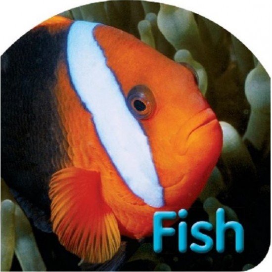 Board Book: Fish