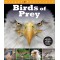 Birds of Prey (Visual Explorers Series)